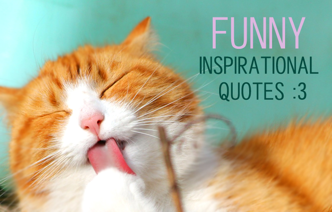 19 Funny Inspirational Quotes to Laugh Your Way to Self Improvement – Yawn  Central