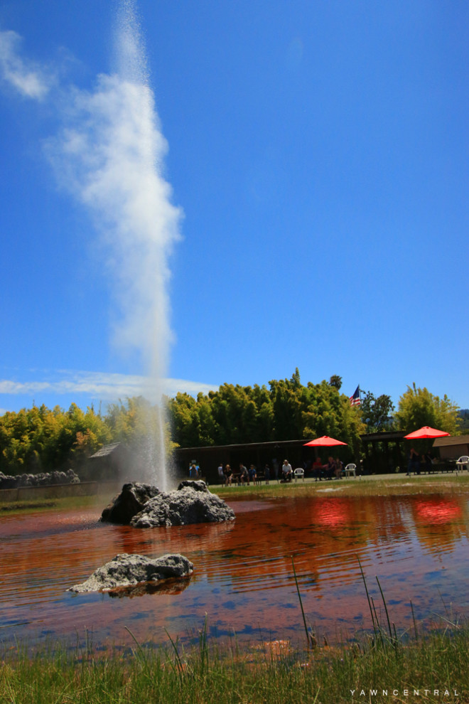 old faithful geyser